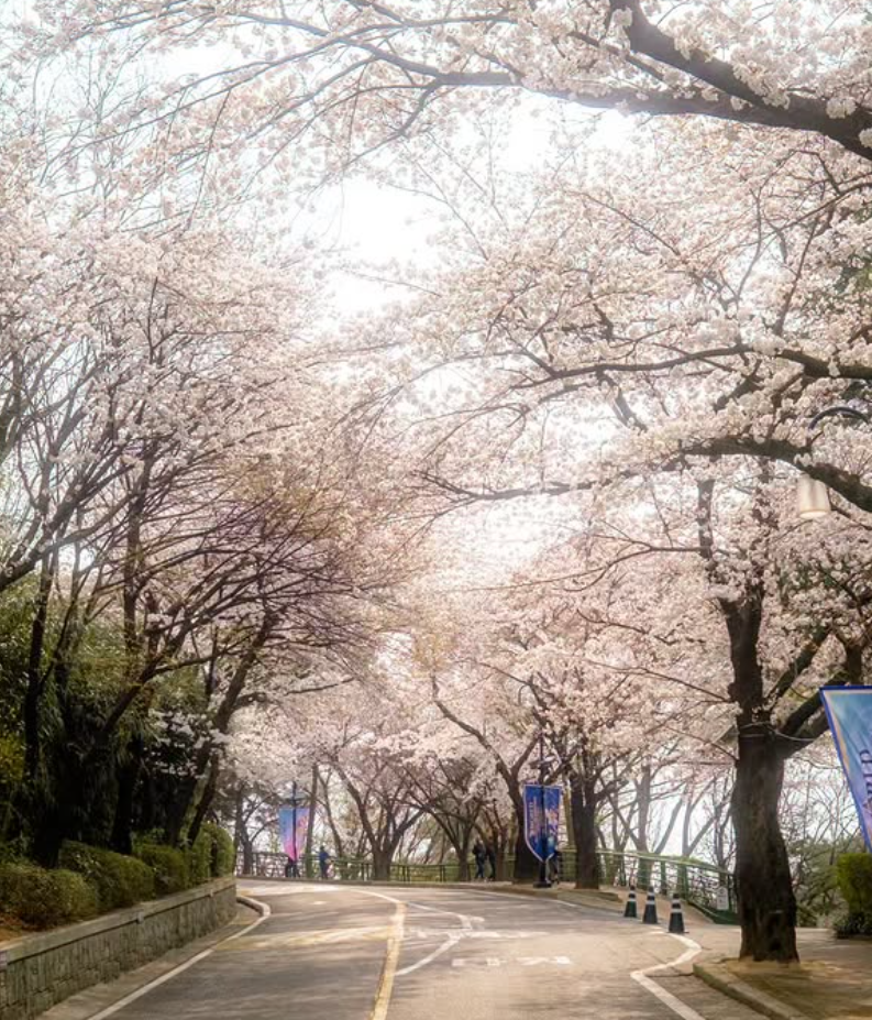 대구 이월드 자유이용권 할인