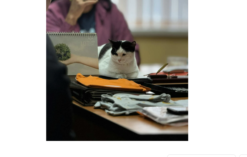 기본증명서