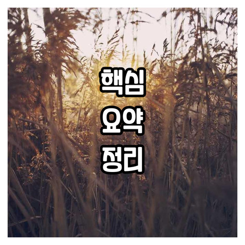 보홀 팡라오 리조트 추천 5곳 가격 