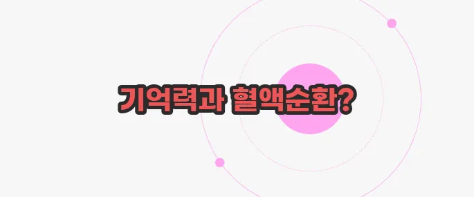 은행알 효능 무슨 내용인지 살펴보죠