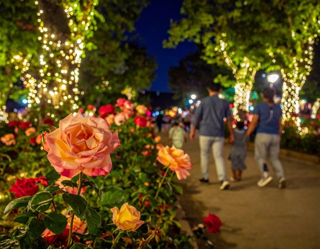 체험 프로그램과 특별 이벤트