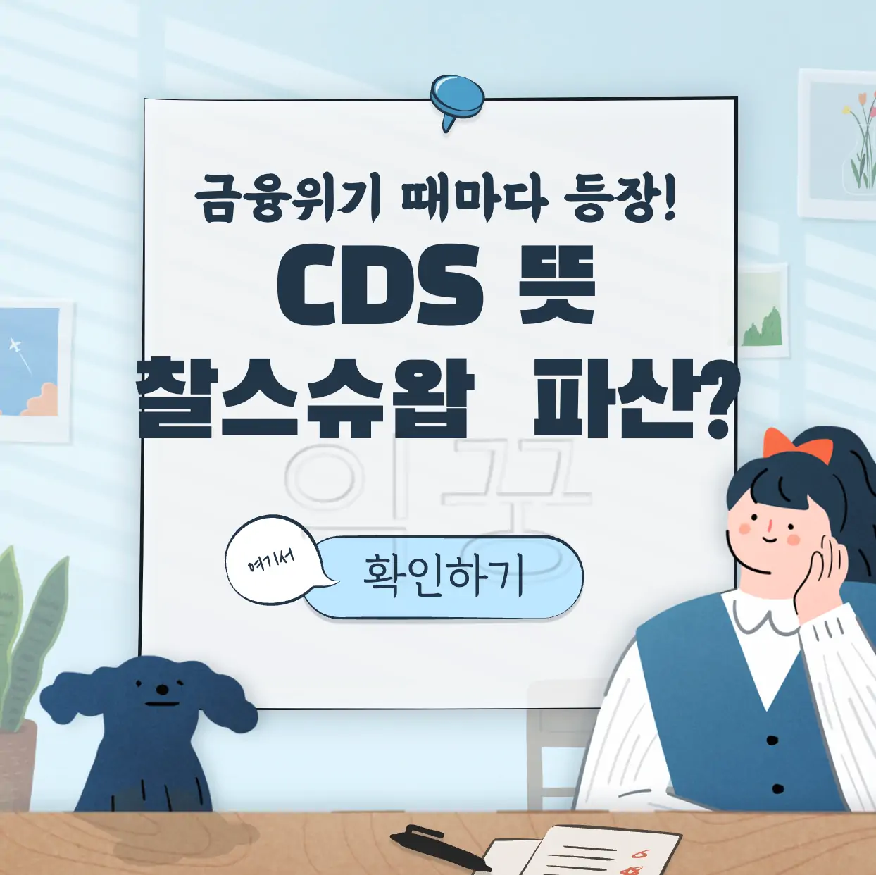 CDS 뜻 표지