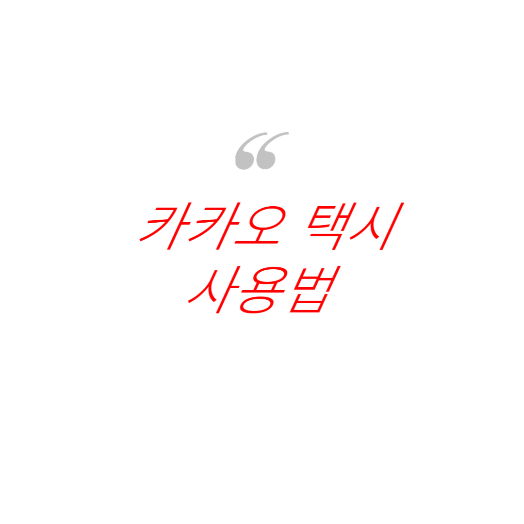 카카오택시 사용법 사진
