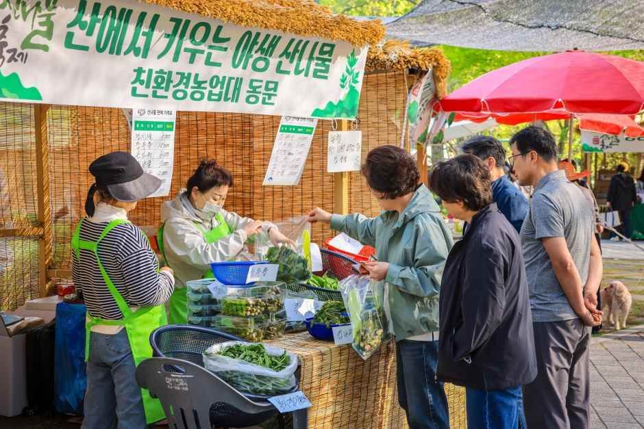 양평 용문산 산나물축제 2026 완벽 가이드