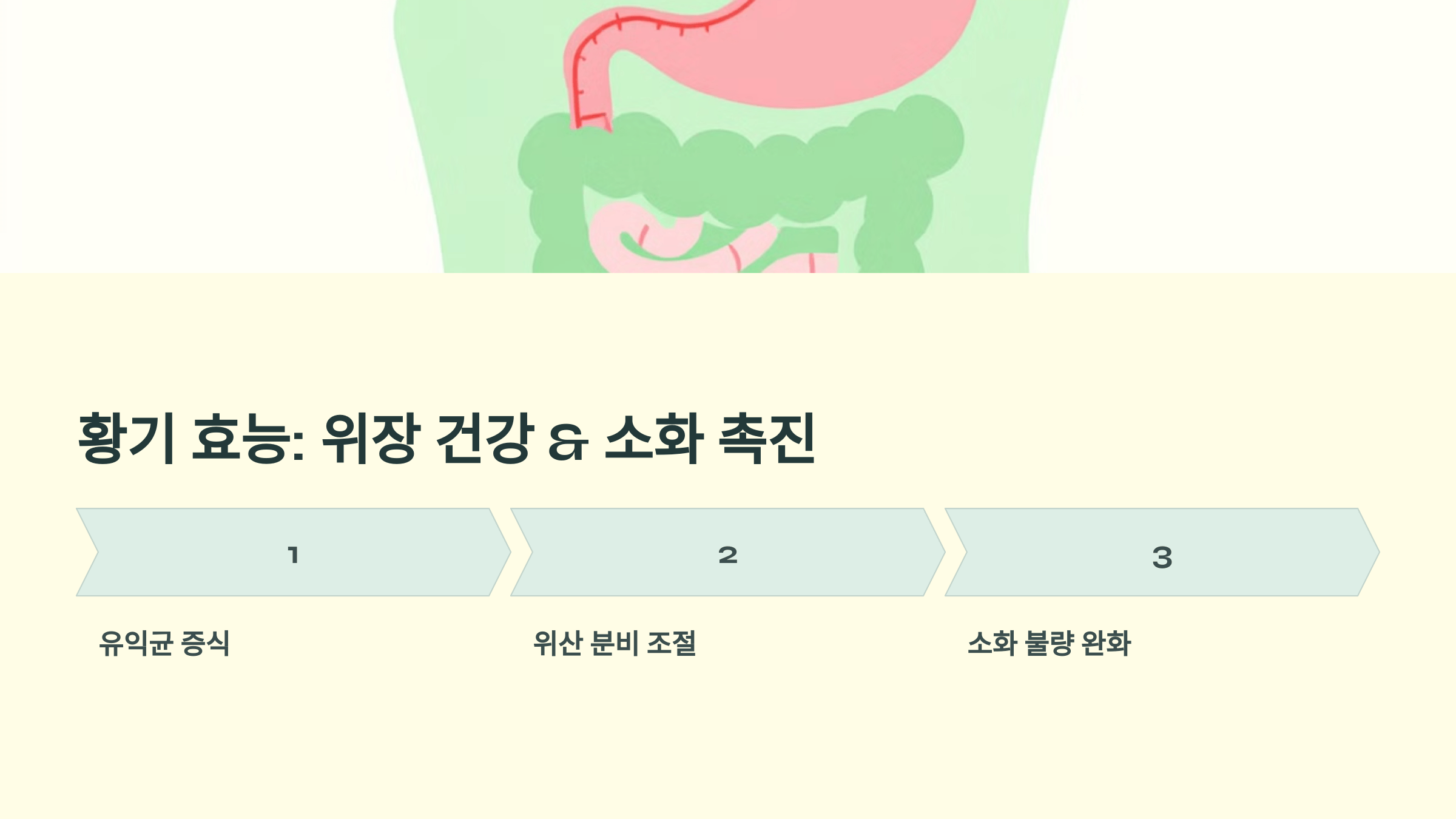 황기 사진입니다.