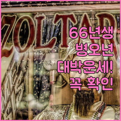 1966년생 2026년 병오년 운세 ..