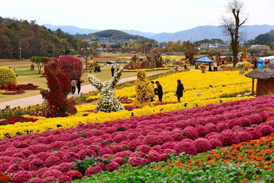 2024 화순 고인돌 꽃축제 기간&#44; 프로그램&#44; 공연&#44; 입장료&#44; 맛집
