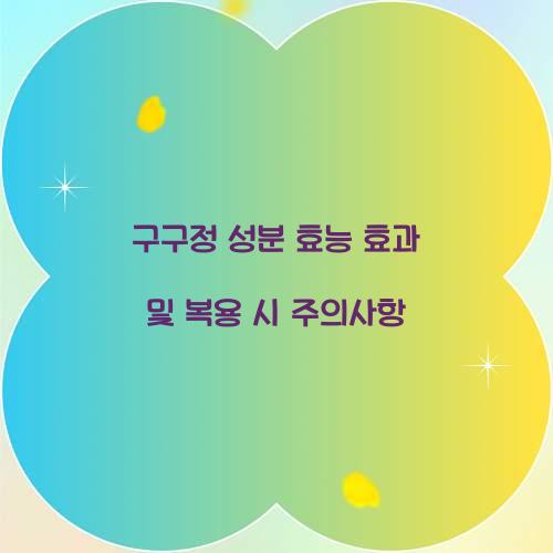 구구정 성분 효능 효과