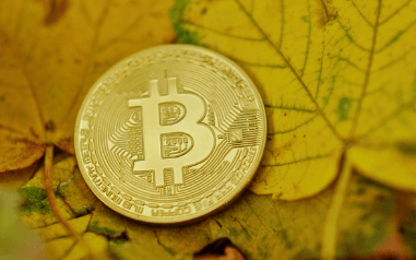 비트코인 하는법