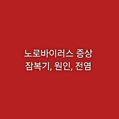 노로바이러스 증상 잠복기 원인 전염