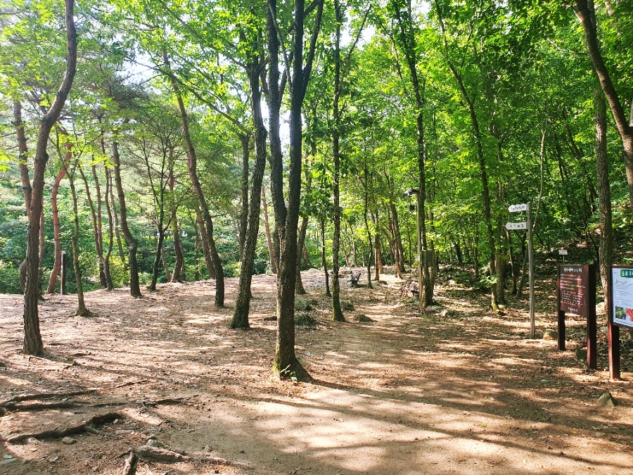 용현자연휴양림