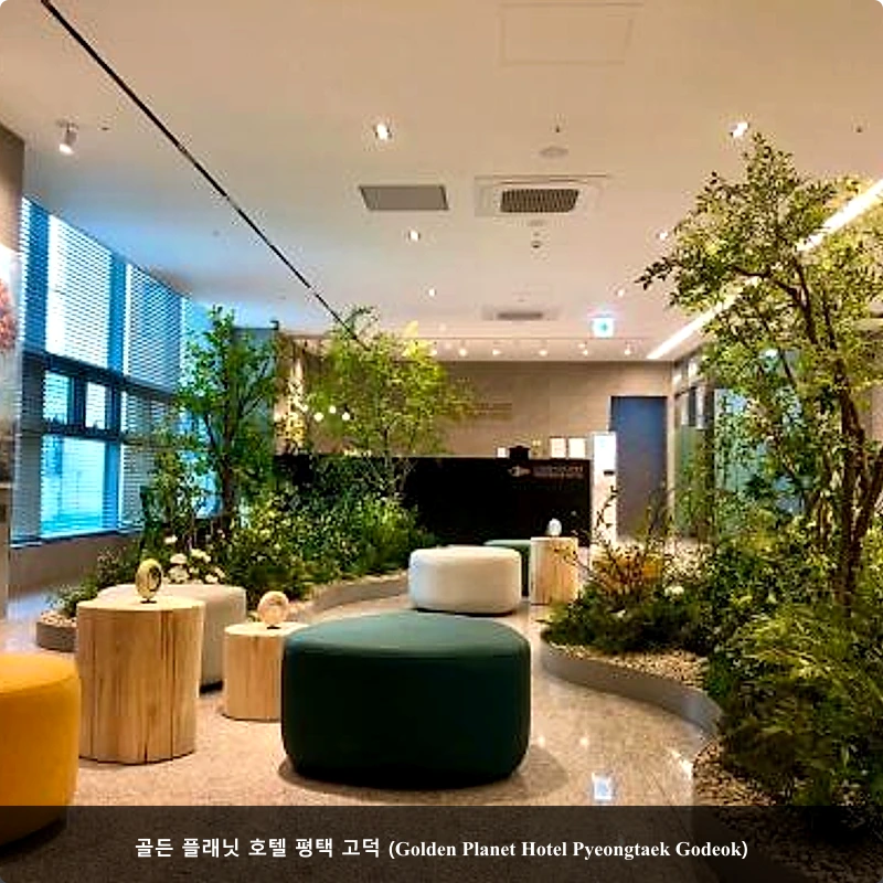 골든 플래닛 호텔 평택 고덕 (Golden Planet Hotel Pyeongtaek Godeok)_3