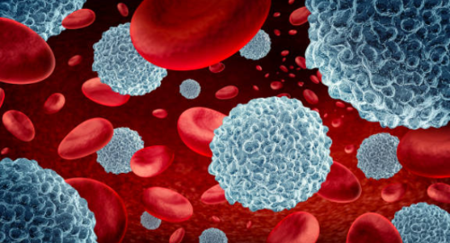 백혈구 수치 낮으면