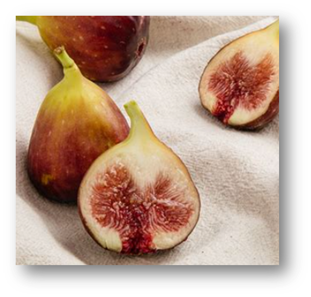 무화과 효능3