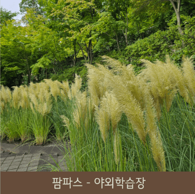 화담숲 예약 (ft. 할인 정보)