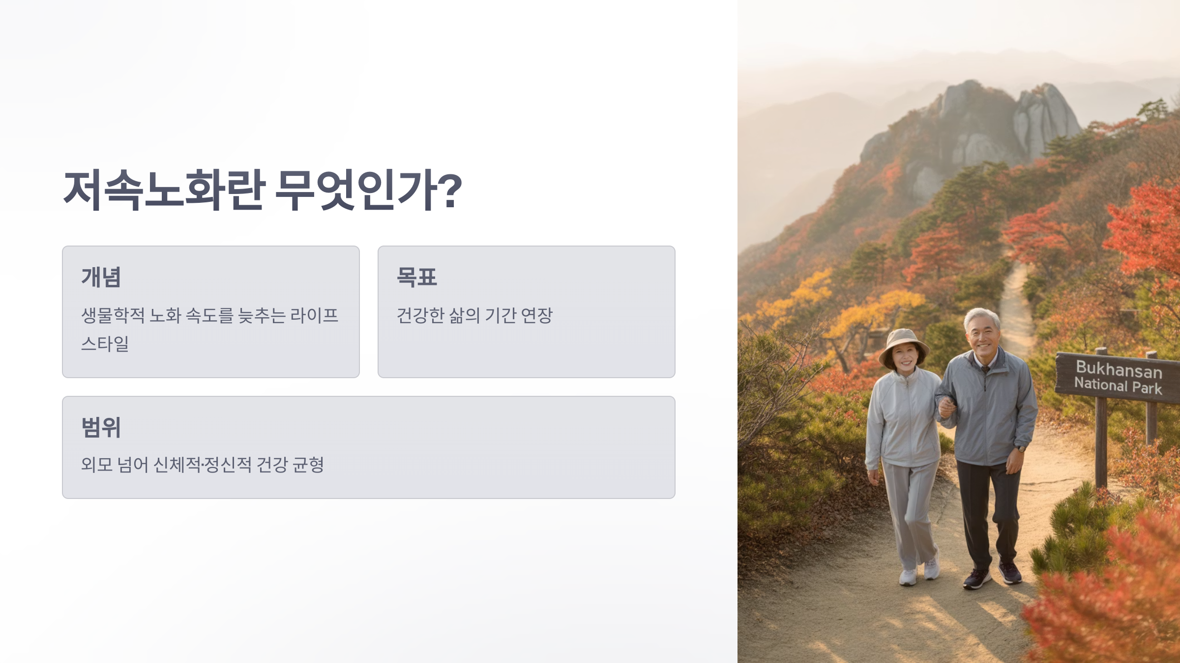 참조-저속노화-열풍-2