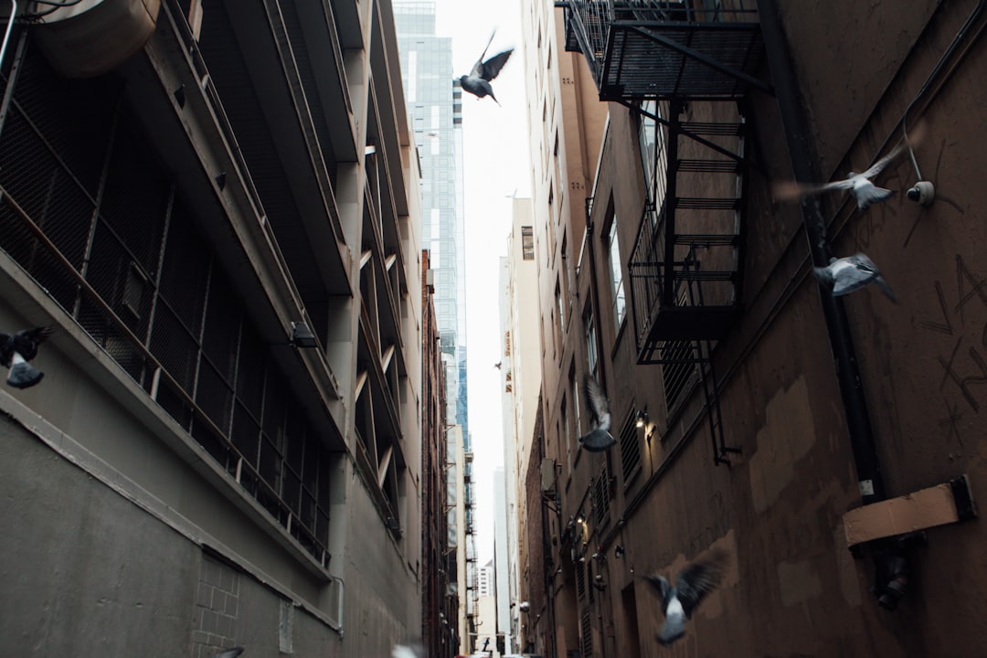 Homepage