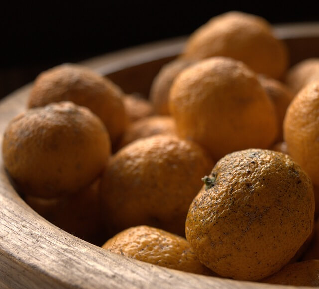 기관지에 좋은 재료