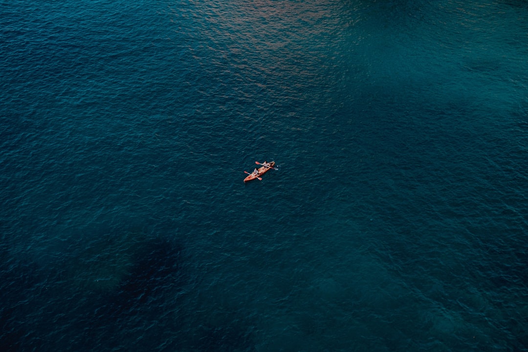 Paddle