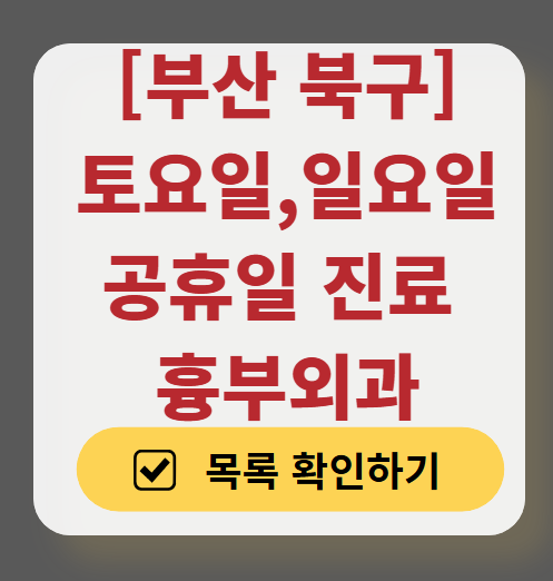 부산 북구 주말 토요일 일요일 흉부외과 진료 병원 목록 ❘ 공휴일 진료 영업 병원 리스트 찾기
