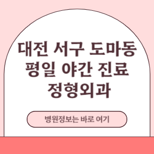 대전 서구 도마동 평일 야간진료 정형외과 진료 병원