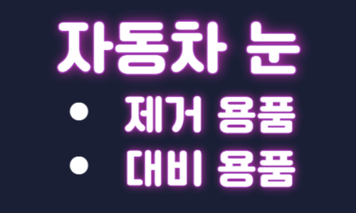 자동차 눈 제거 용품 대비 용품
