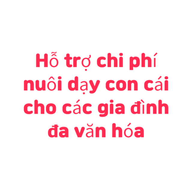 Chính phủ Hàn Quốc sẽ hỗ trợ chi phí nuôi dạy con hàng tháng miễn phí cho các gia đình đa văn hóa.