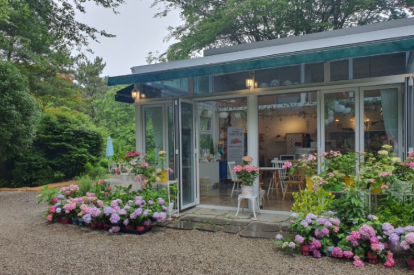 경상권 수국명소 추천 7곳, 여름의 정취를 만끽할 수 있는 곳