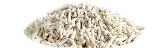 고양이 모래 추천3