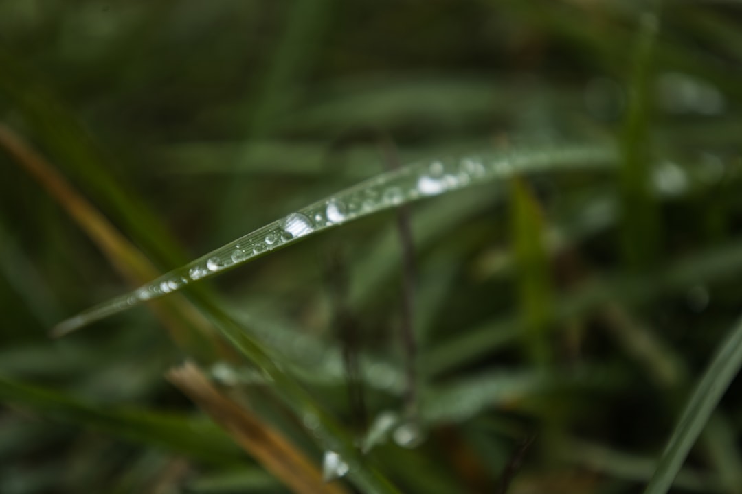 Moisture