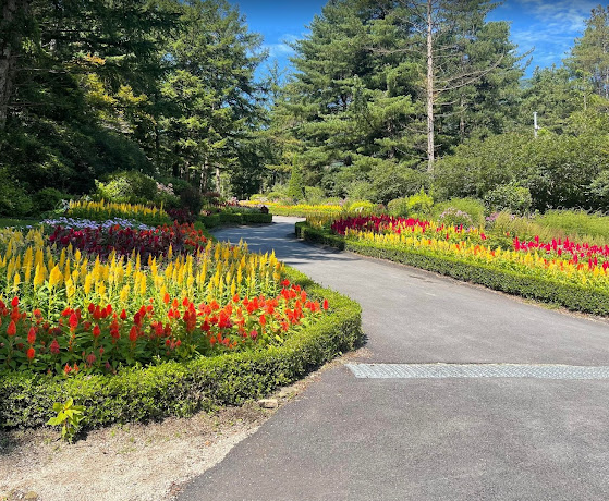 아침고요 수목원