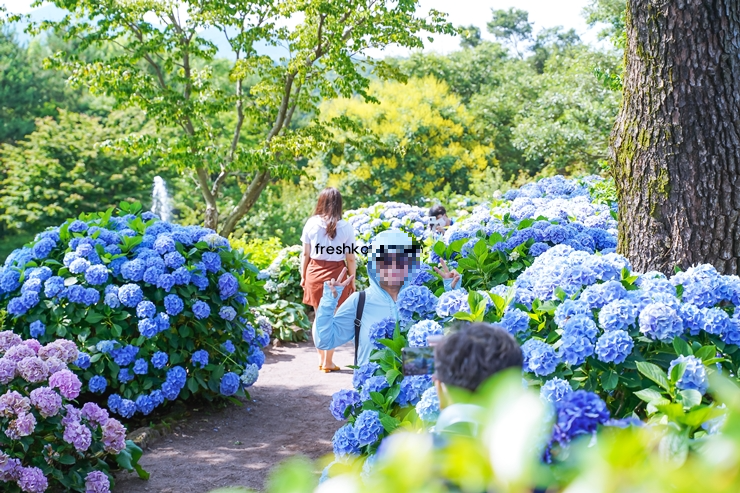7월 축제 가볼만한곳 10곳