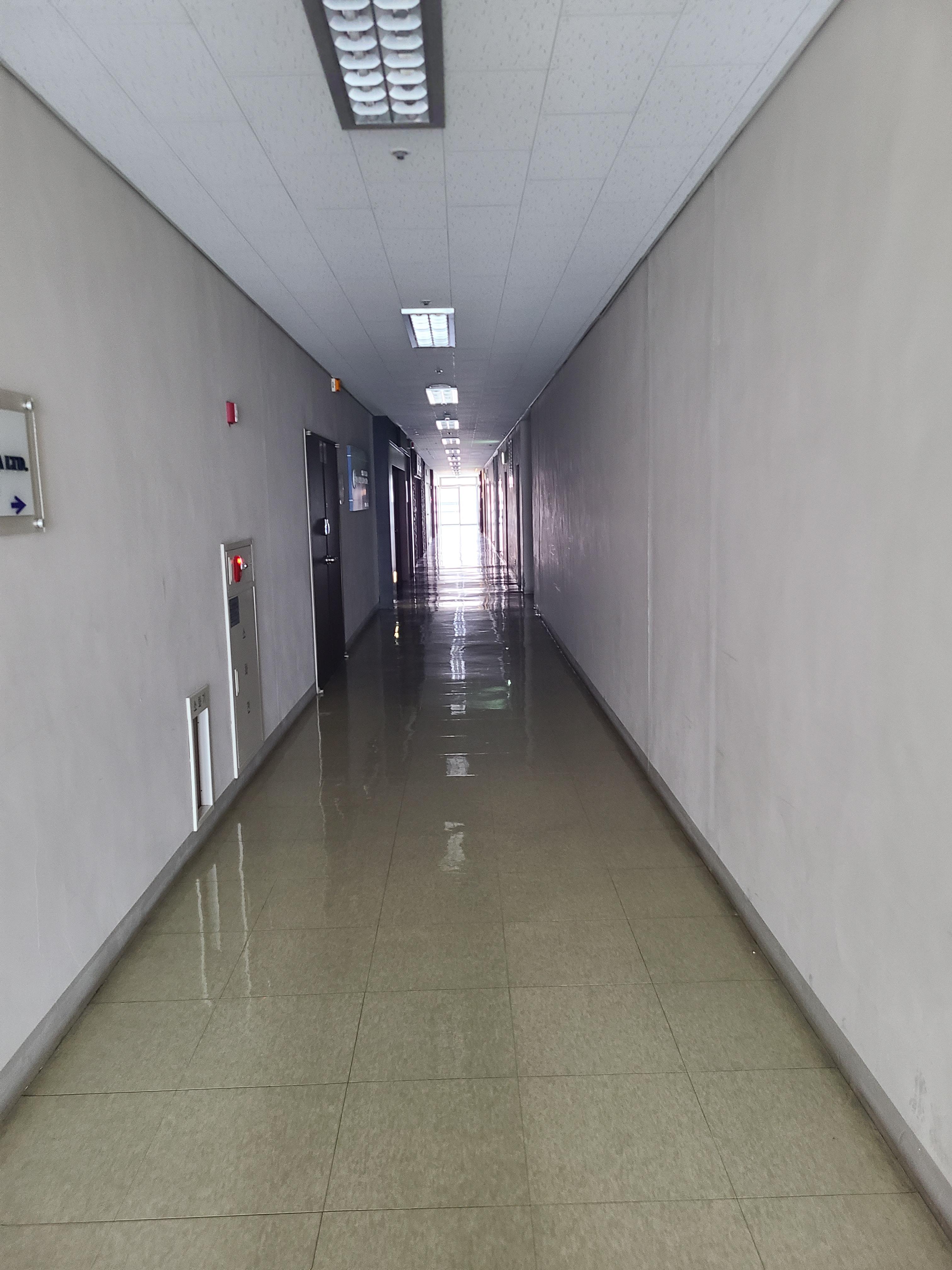 우림블루나인23