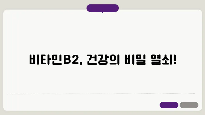 빔타민B2 효능