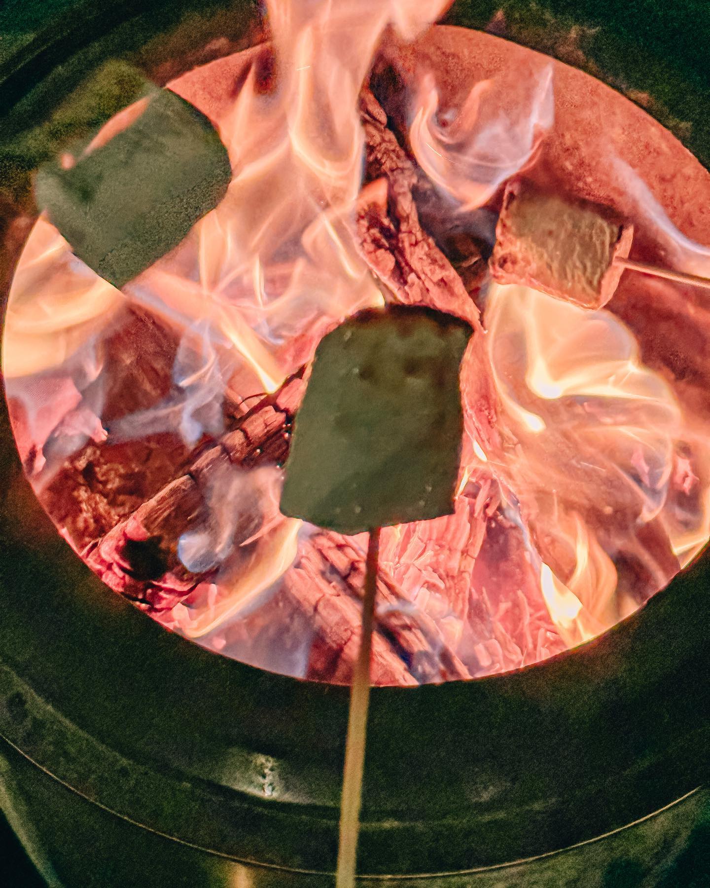 생방송오늘저녁 텍사스 바베큐 브리스킷 비프립 스페어립 풀드포크 제천 맛집 추천