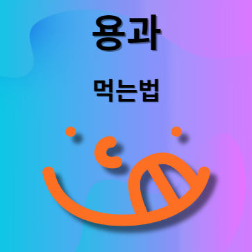 용과 먹는 방법