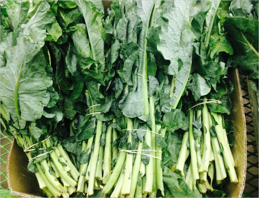 루테인 효능 총정리&amp;#44; 5분만에 알아보는 눈 건강의 비밀! 