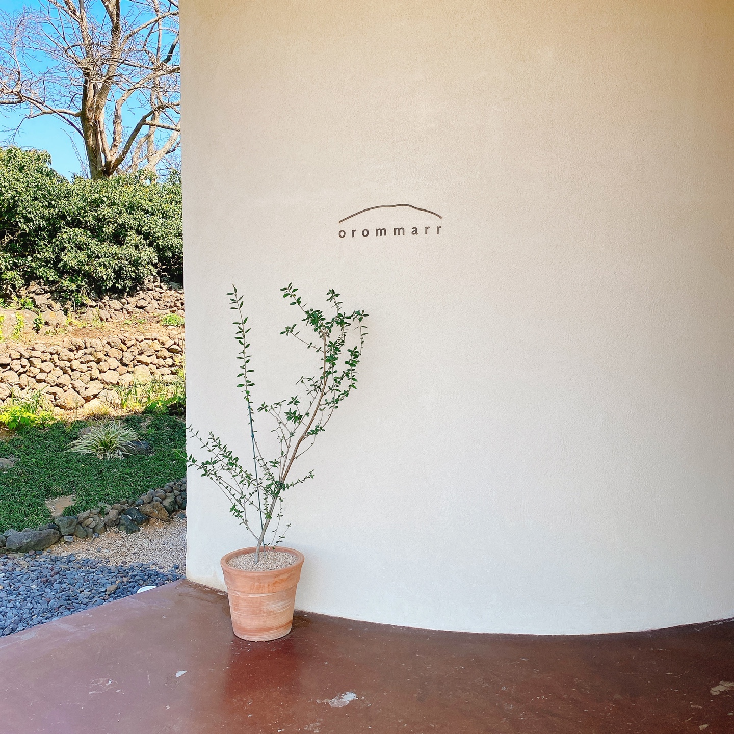 제주 애월 장전리 왕벚꽃거리 근처 문태준 시인 카페 오롬마르