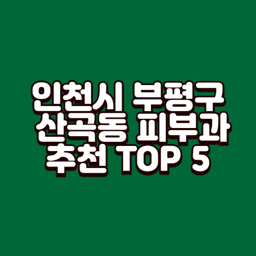 인천시 부평구 산곡동 피부과 추천 TOP 5