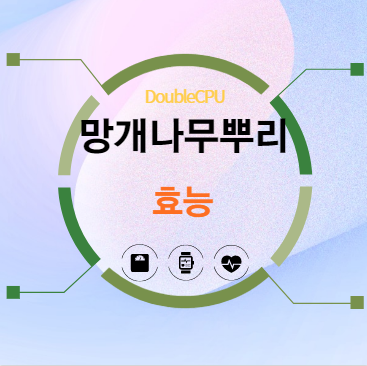 망개나무뿌리 효능 6가지 탐구