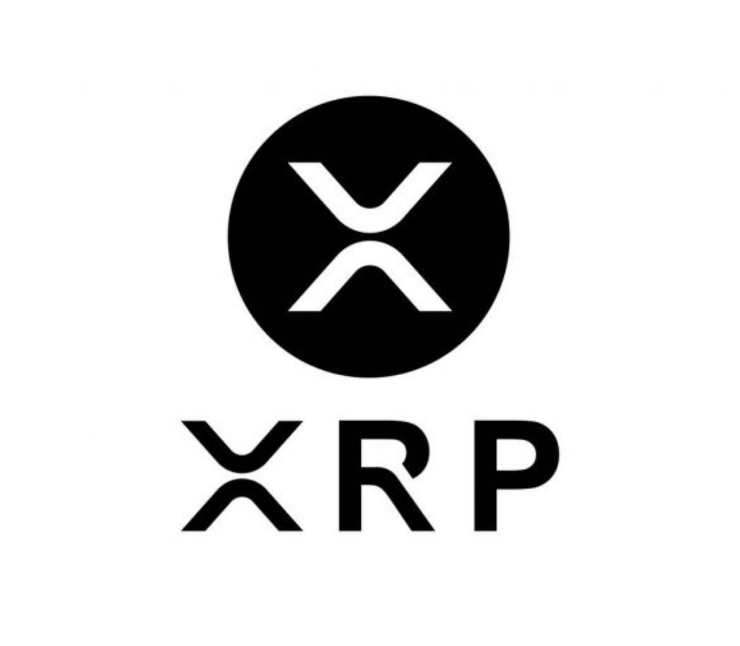 리플 설명 이미지