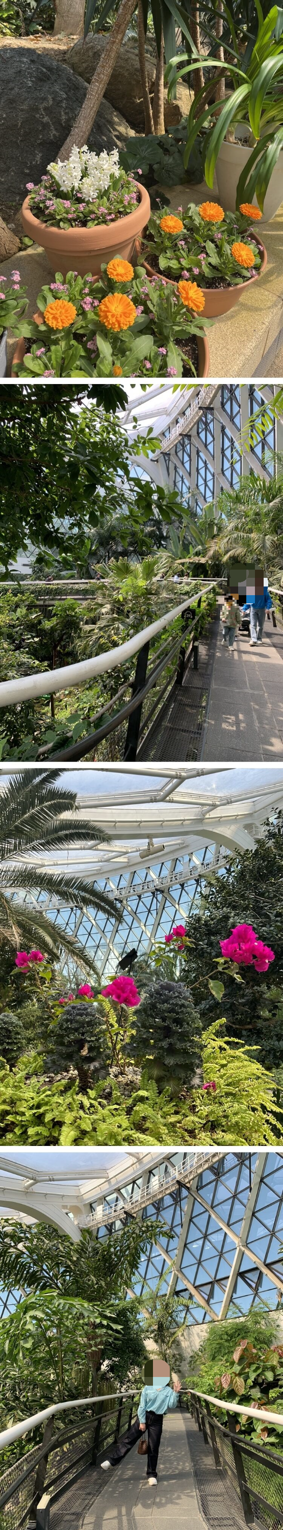 스카이 워크 위에서 찍기 좋은 포토존