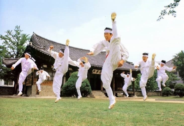 택견 미학의 현대적 해석: 단순한 무예를 넘어선 몸·리듬·철학의 조화 구조 분석