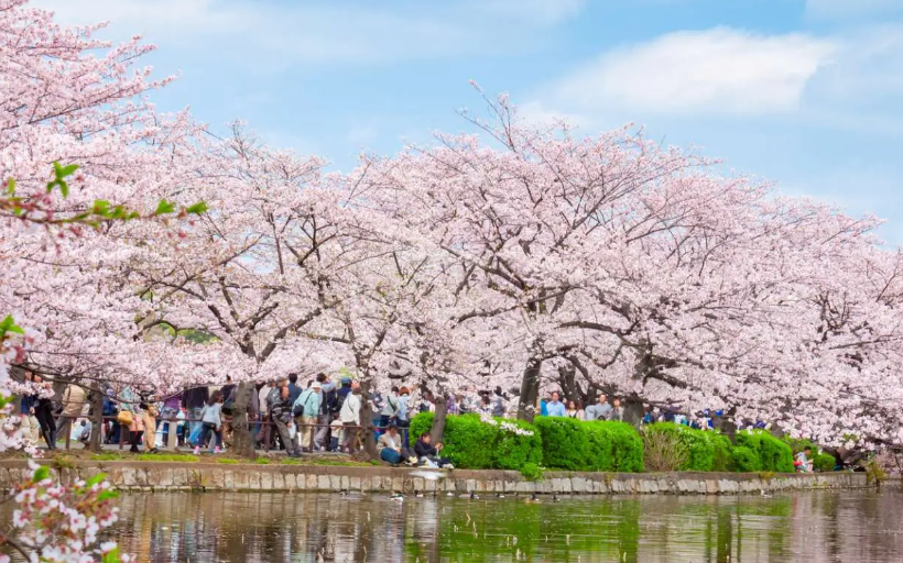 도쿄우에노공원