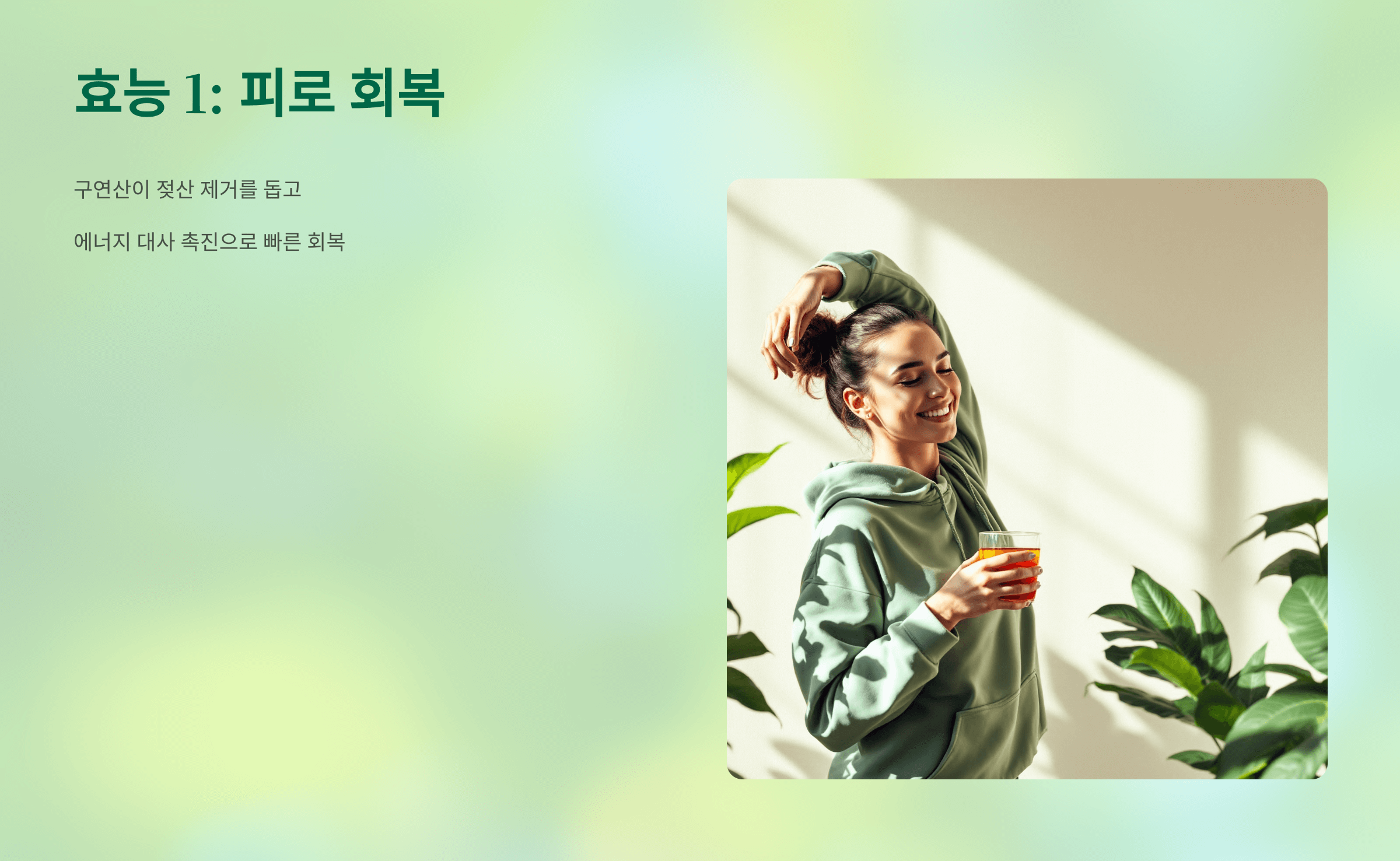 매실청 사진입니다.