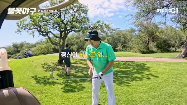 불꽃야구