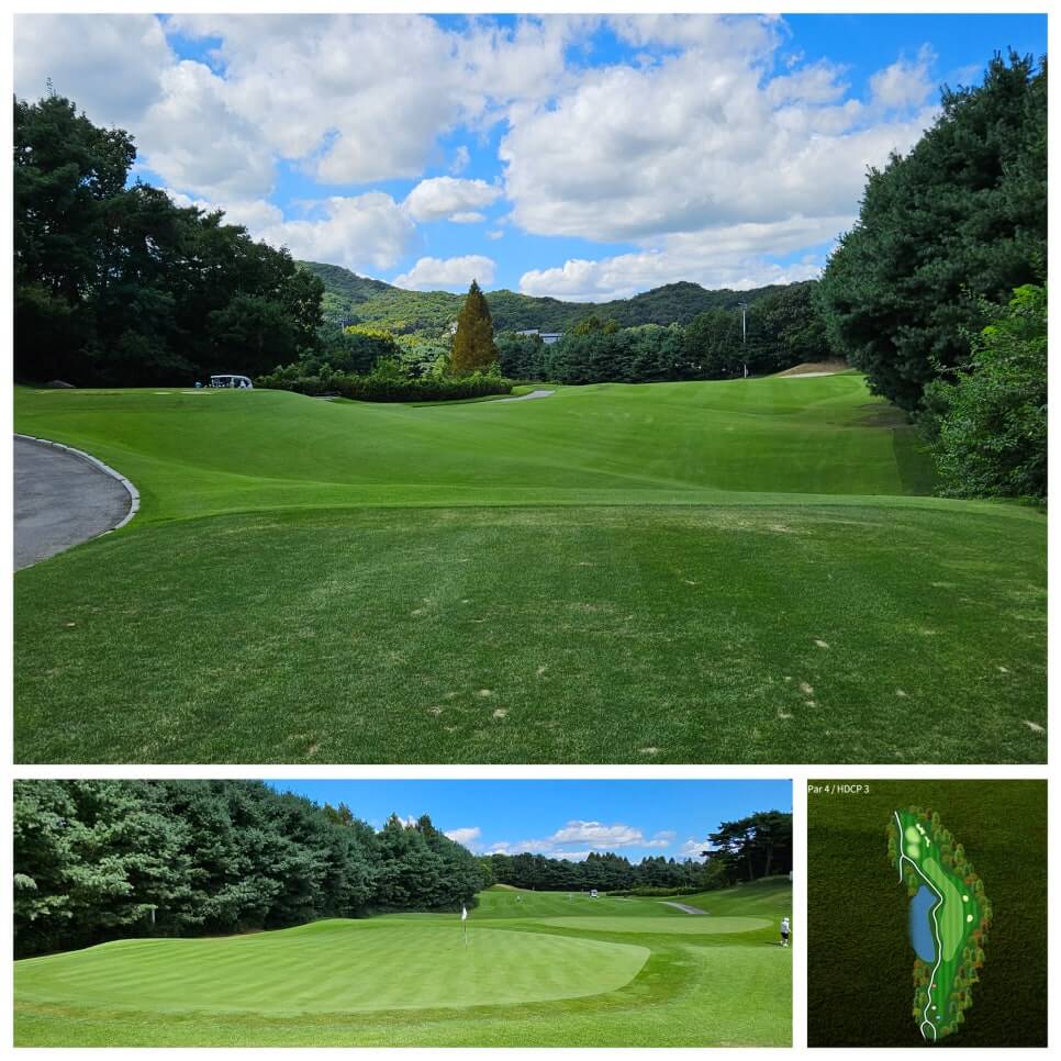 골프장 경험담 남여주cc 대중제 골프장의 최고 골프장