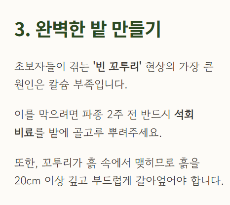 땅콩 심는시기