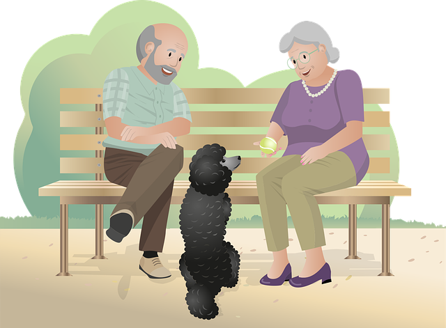 중년 이후 호르몬 변화와 건강 관리 방법