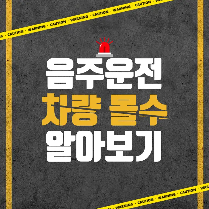 음주운전_차량_몰수